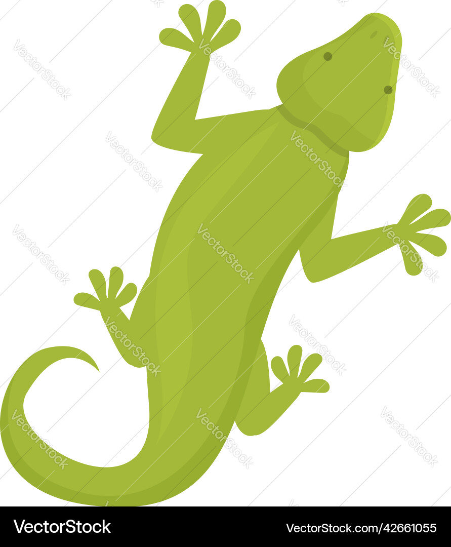 Gecko icon cartoon lizard iguana Gecko icon cartoon lizard iguana vector image