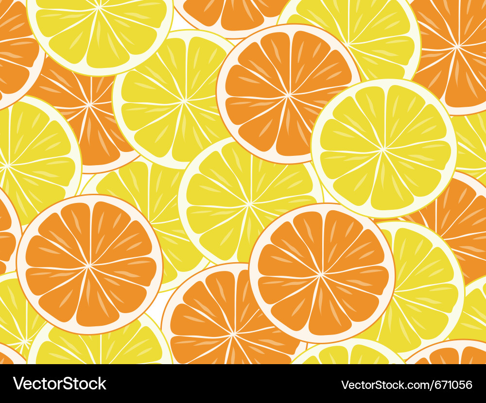Citrus Slice Pattern vector image