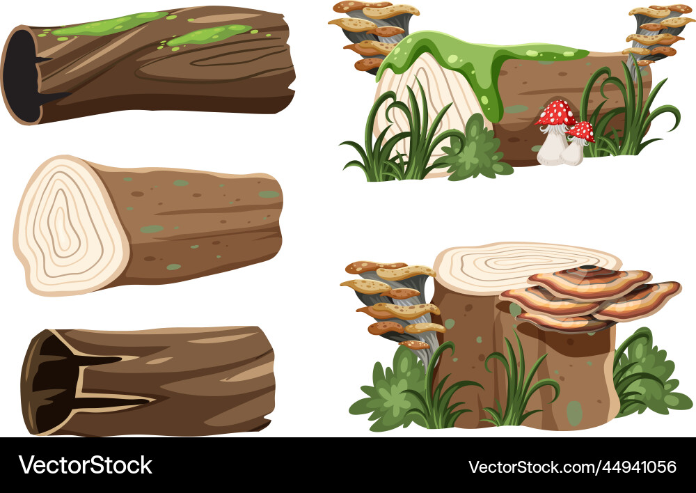 Set of tree cut down part vector image