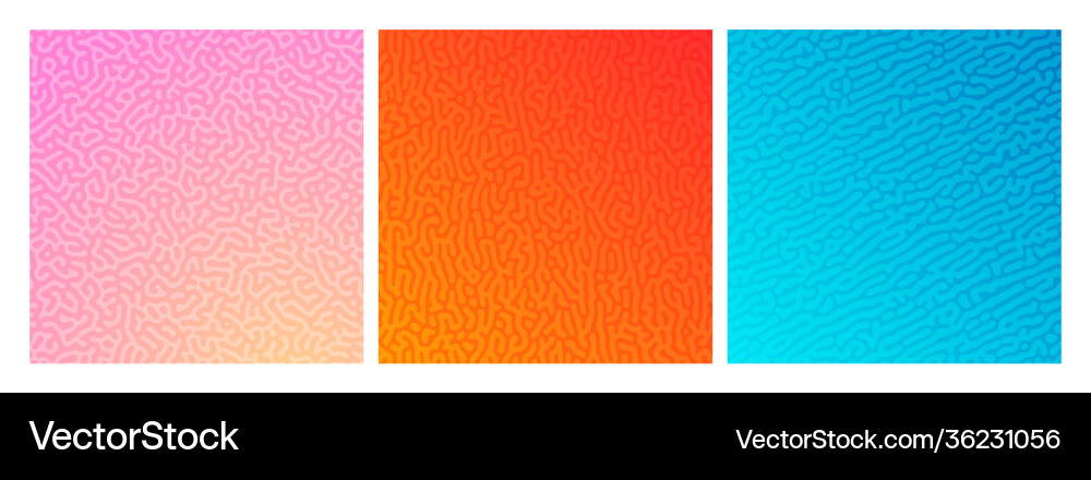 Set three colorful turing reaction gradient vector image