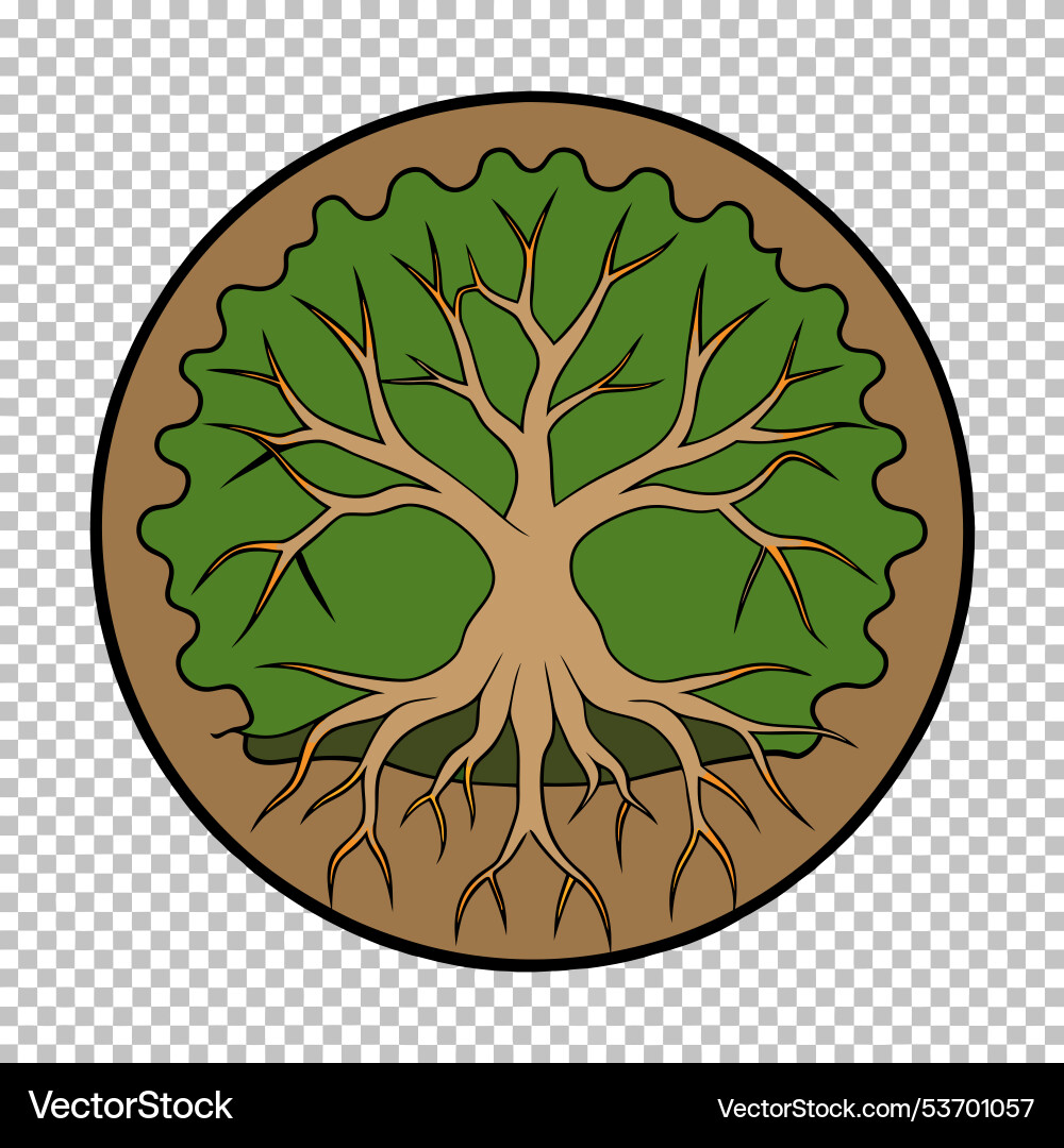 Circle of tree roots isolated on transparent Vector Image