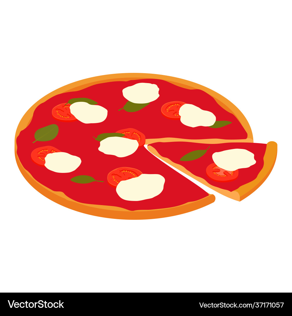 Web Web vector image