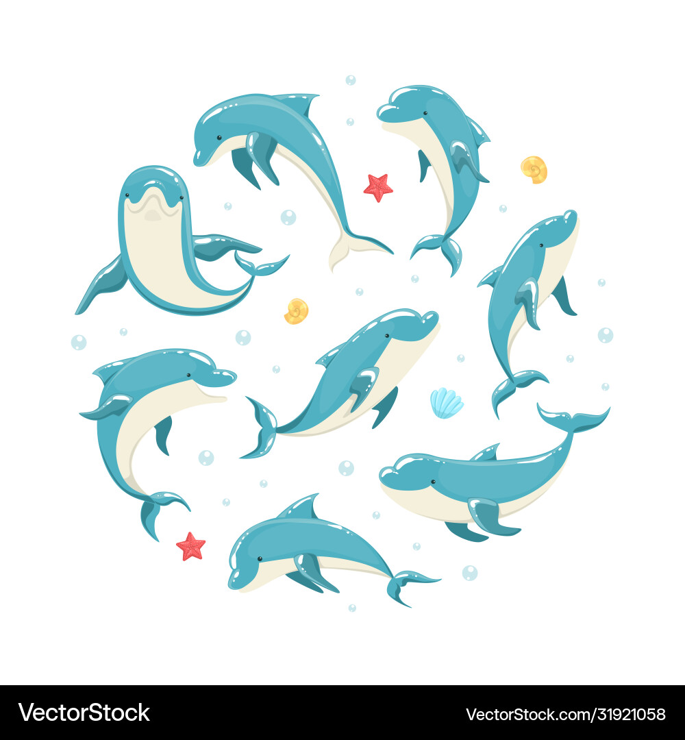 Dolphin banner template marine sea creature Dolphin banner template marine sea creature vector image