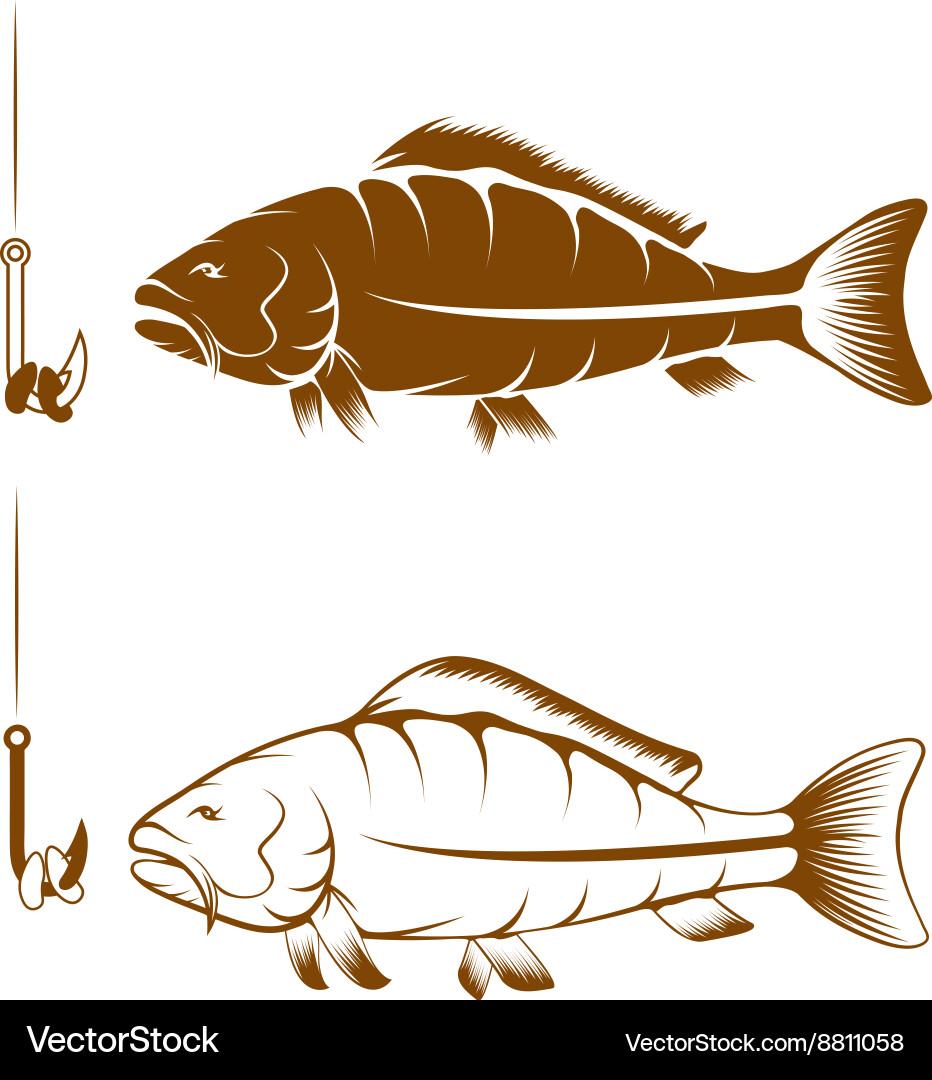 Hook with beans and carp design template Vector Image