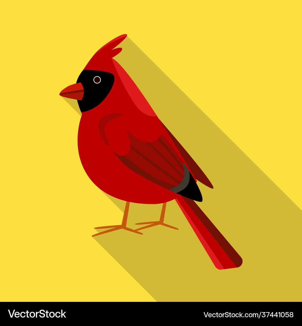 Isolated object cardinal and red icon set Vector Image