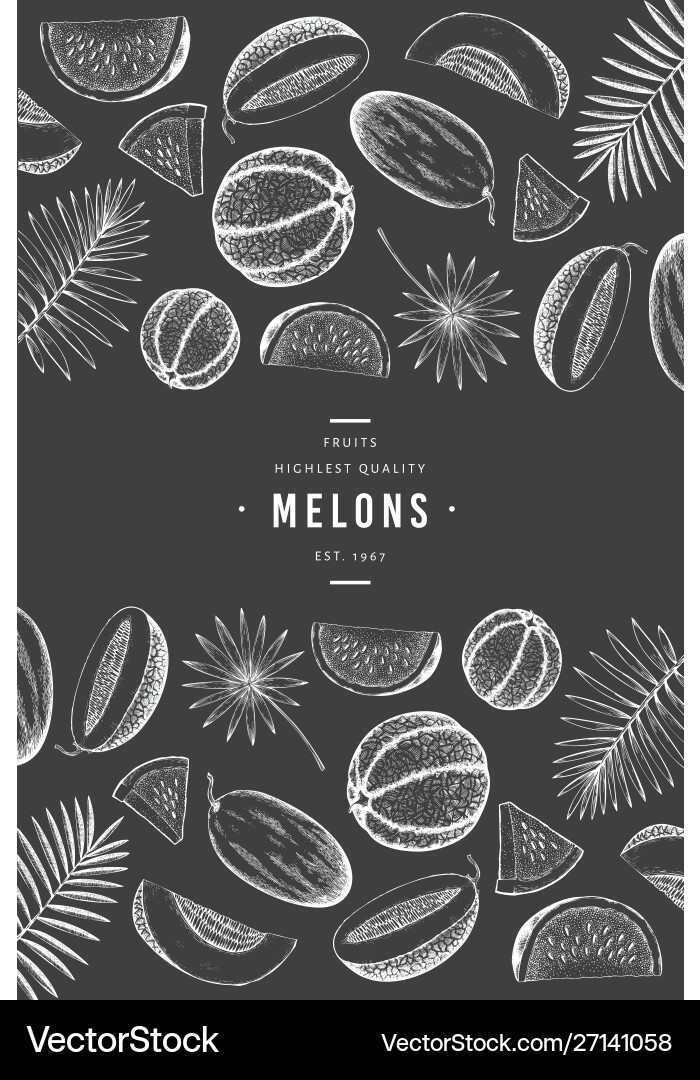 Melonen und Wassermelonen mit tropischen Blättern Melonen und Wassermelonen mit tropischen Blättern vektorbild
