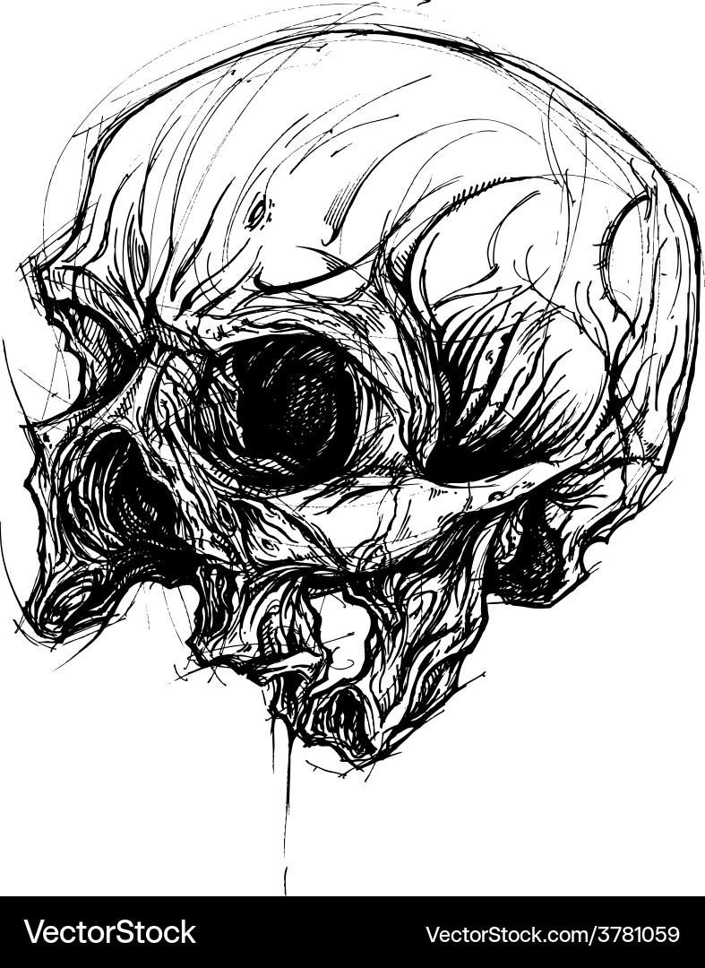 Detailed Broken Skull Line Art Vector Image