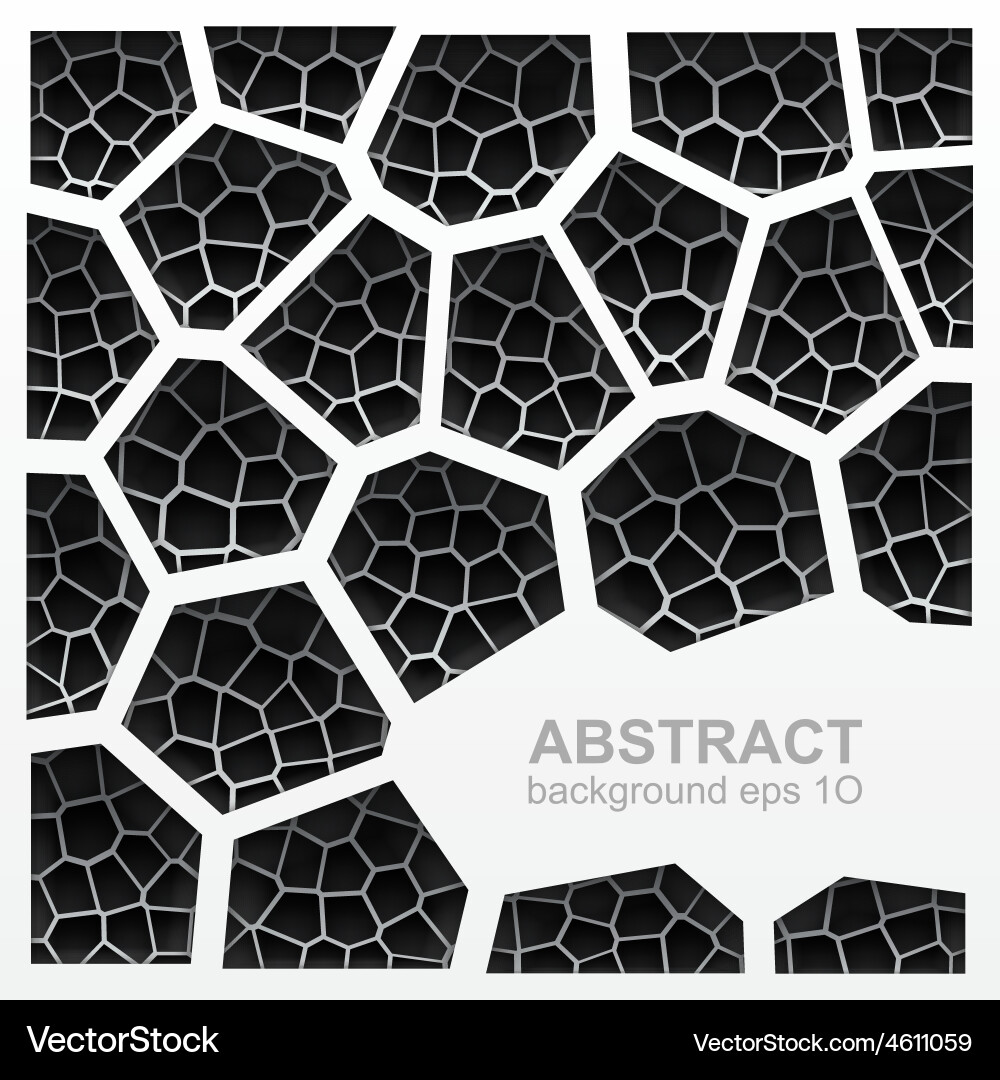 Geometric Grayscale Hexagonal Pattern vector image
