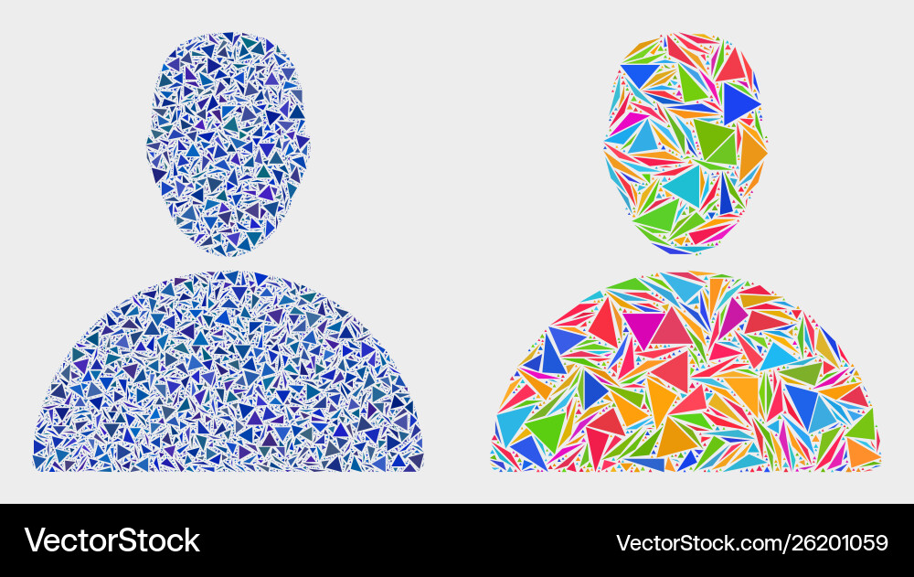 Man mosaic icon triangles Man mosaic icon triangles vector image