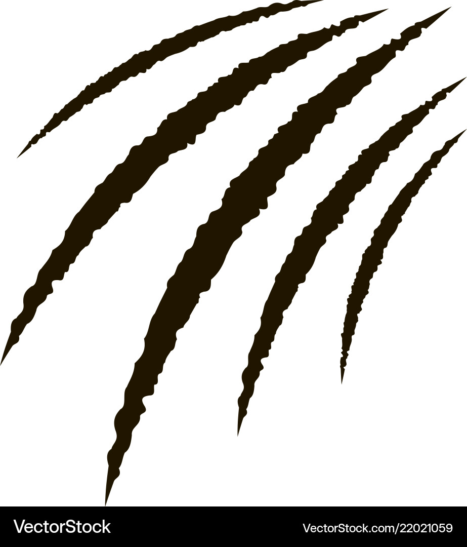 Realistic claw paw scratches Realistic claw paw scratches vector image
