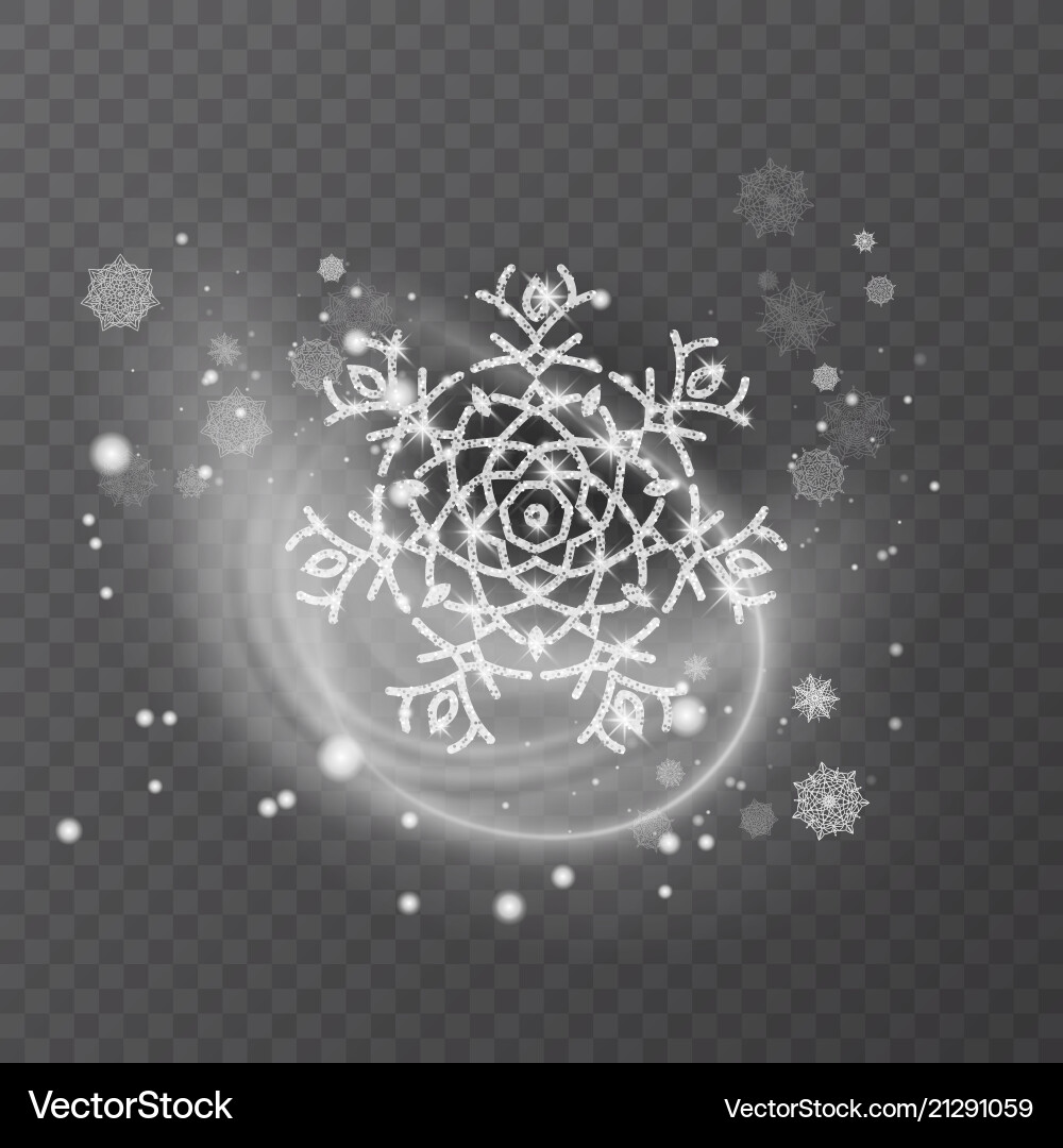 Snowflake with glittering texture vector image