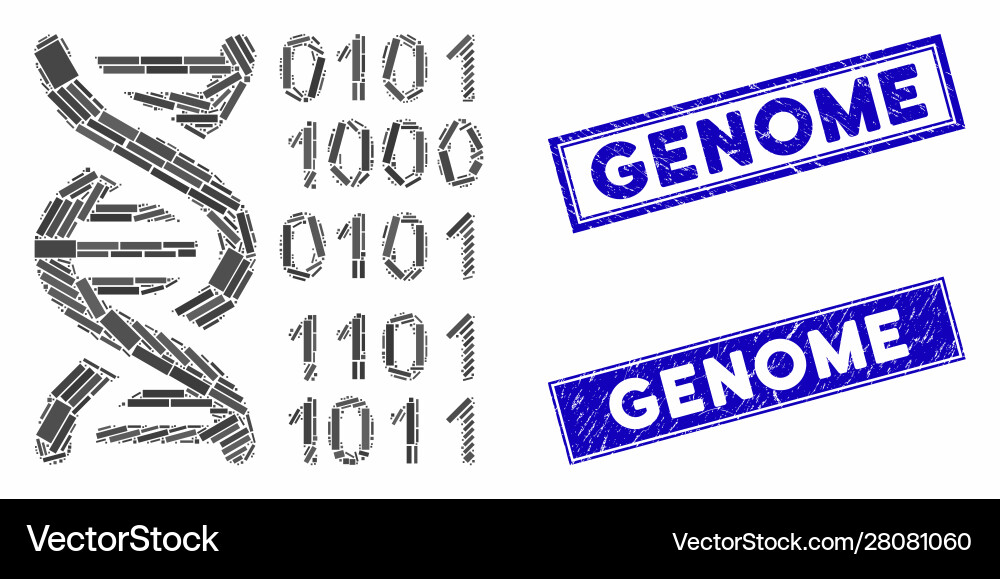 Genome mosaic and grunge rectangle stamps Genome mosaic and grunge rectangle stamps vector image