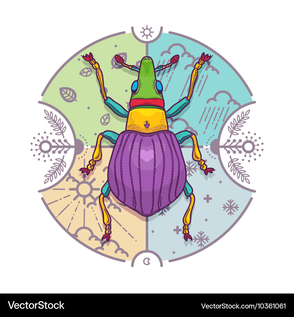 Insect beetle bug design elements line graphic vector image