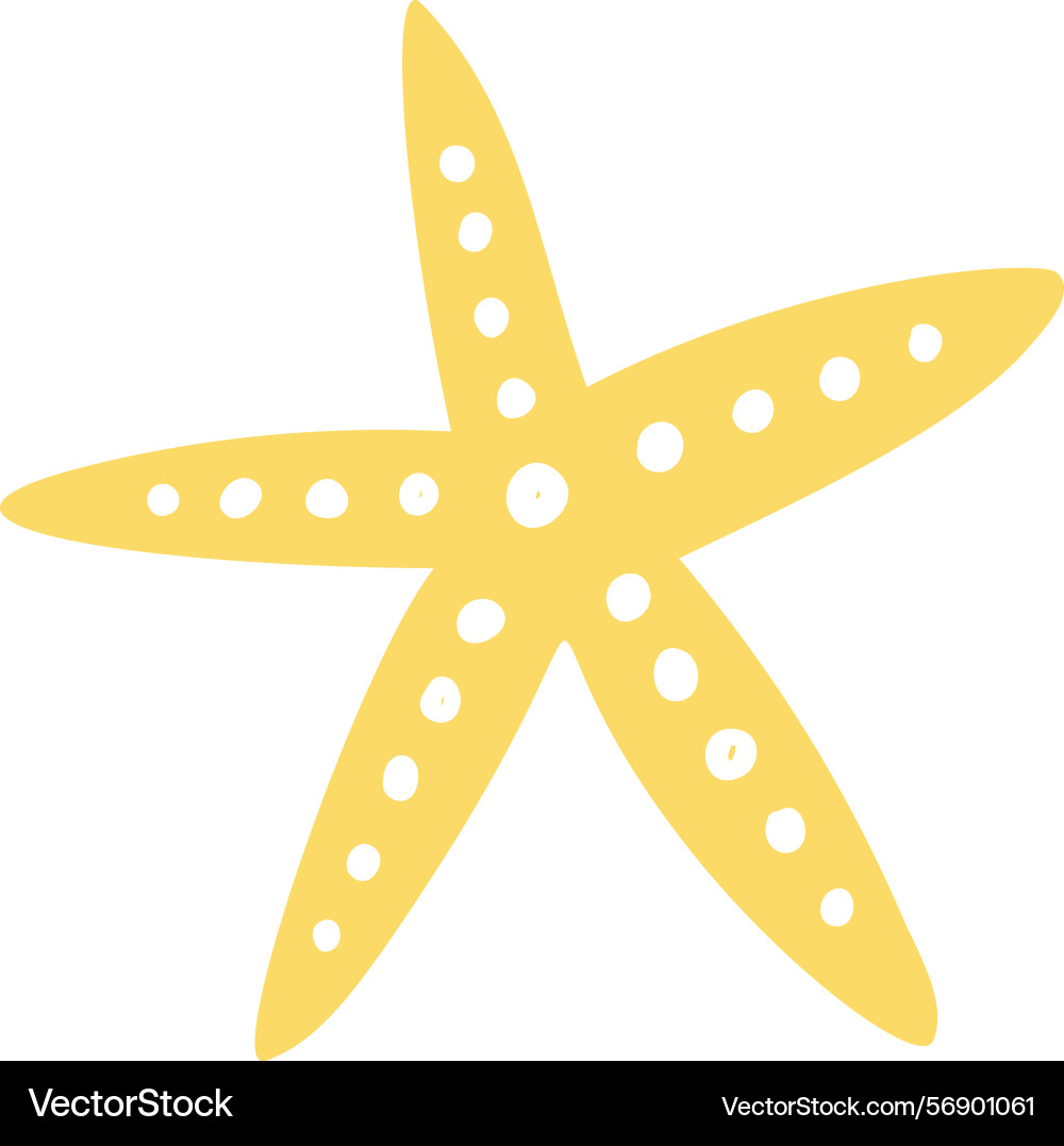 Starfish boho beach design element Vector Image