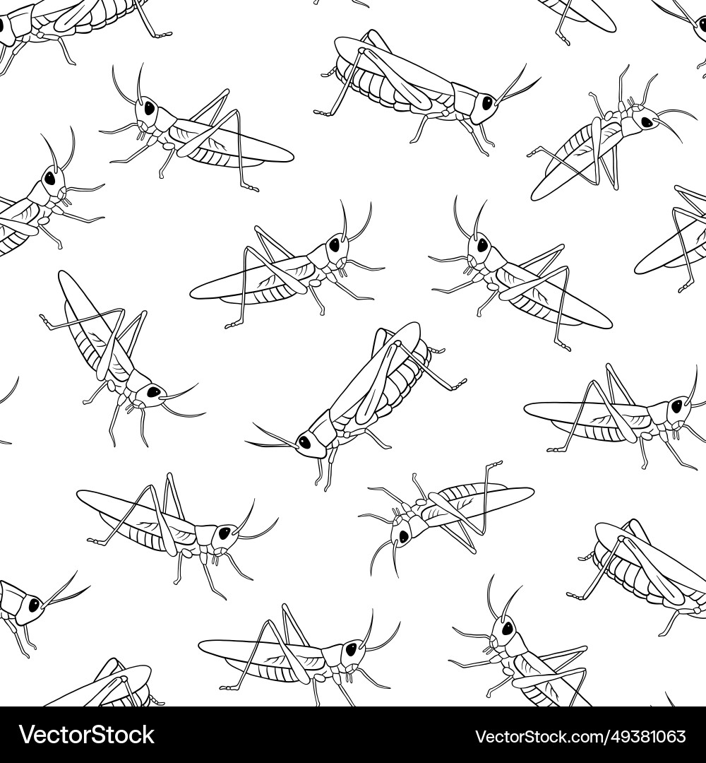 Seamless pattern with grasshopper outline vector image
