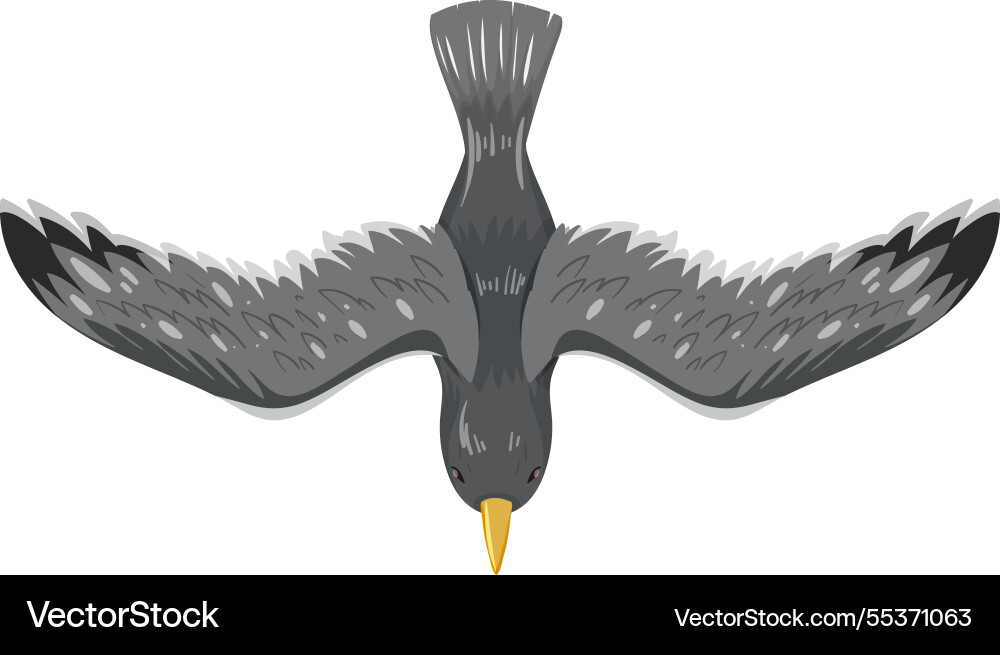 Top view of a soaring bird in motion Top view of a soaring bird in motion Vector Image