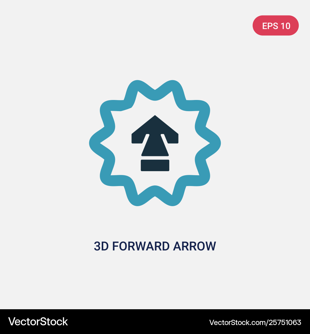 Two color 3d forward arrow icon from user vector image
