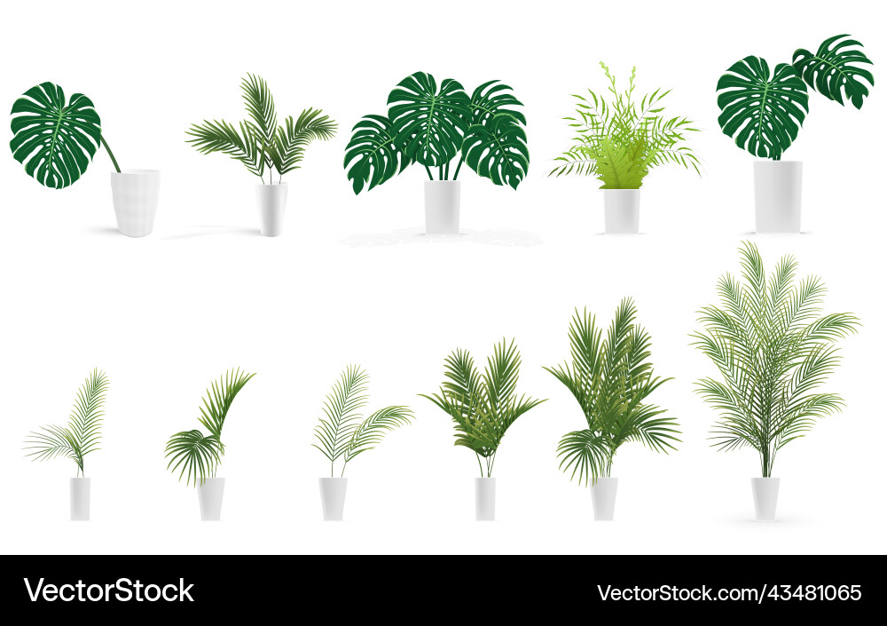 Set von Pflanzen in Vase mit Monstera Farn Palm Set von Pflanzen in Vase mit Monstera Farn Palm vektorbild