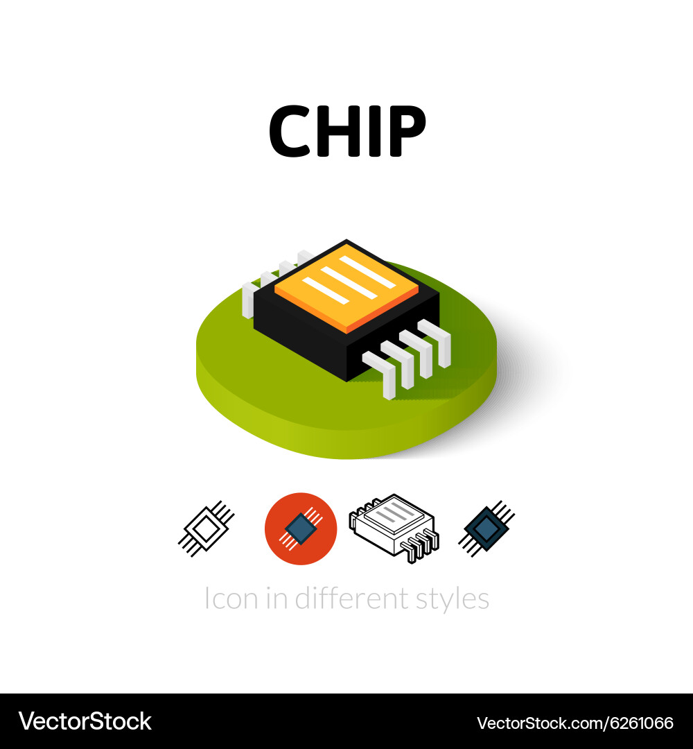 Chip icon in different style Vector Image
