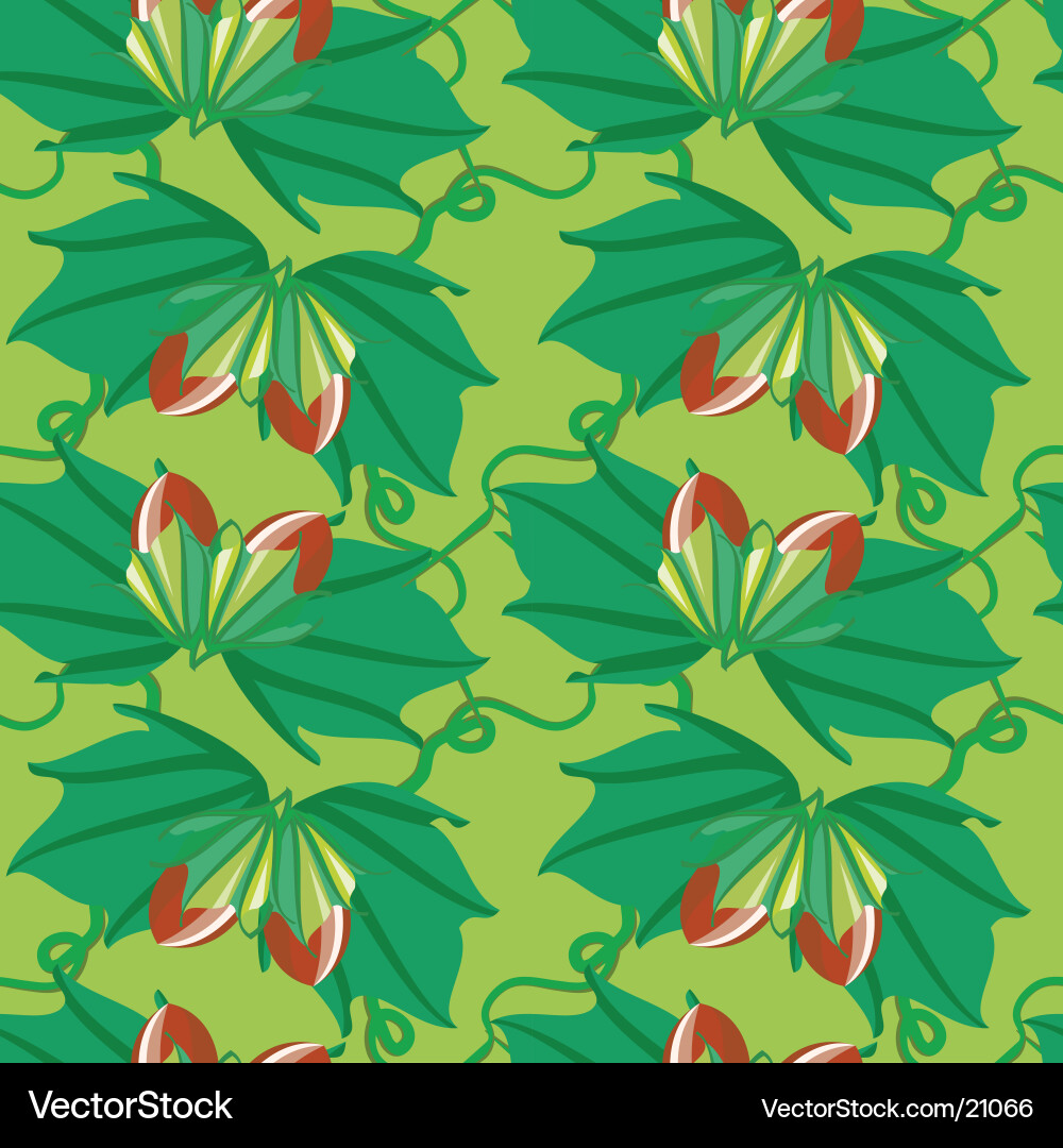 Nuts seamless pattern vector image