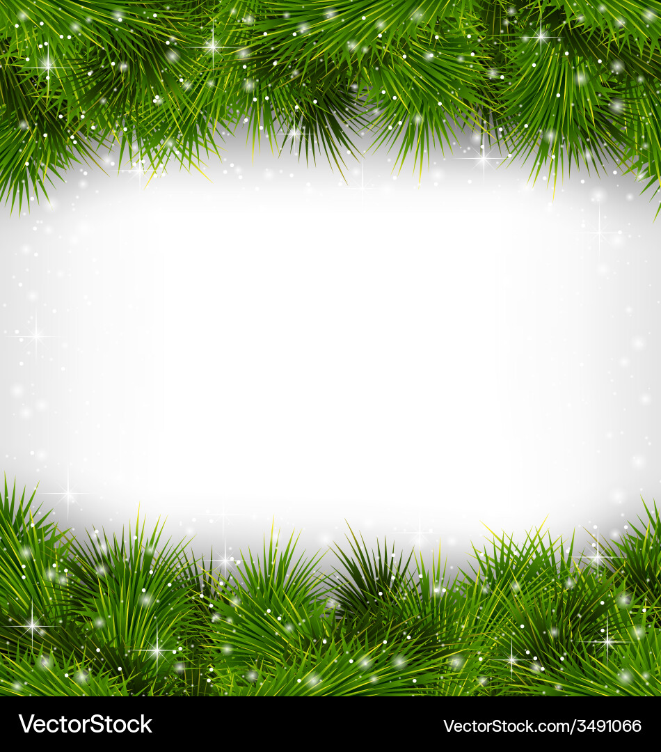 Snowy Pine Branches Frame Vector Image