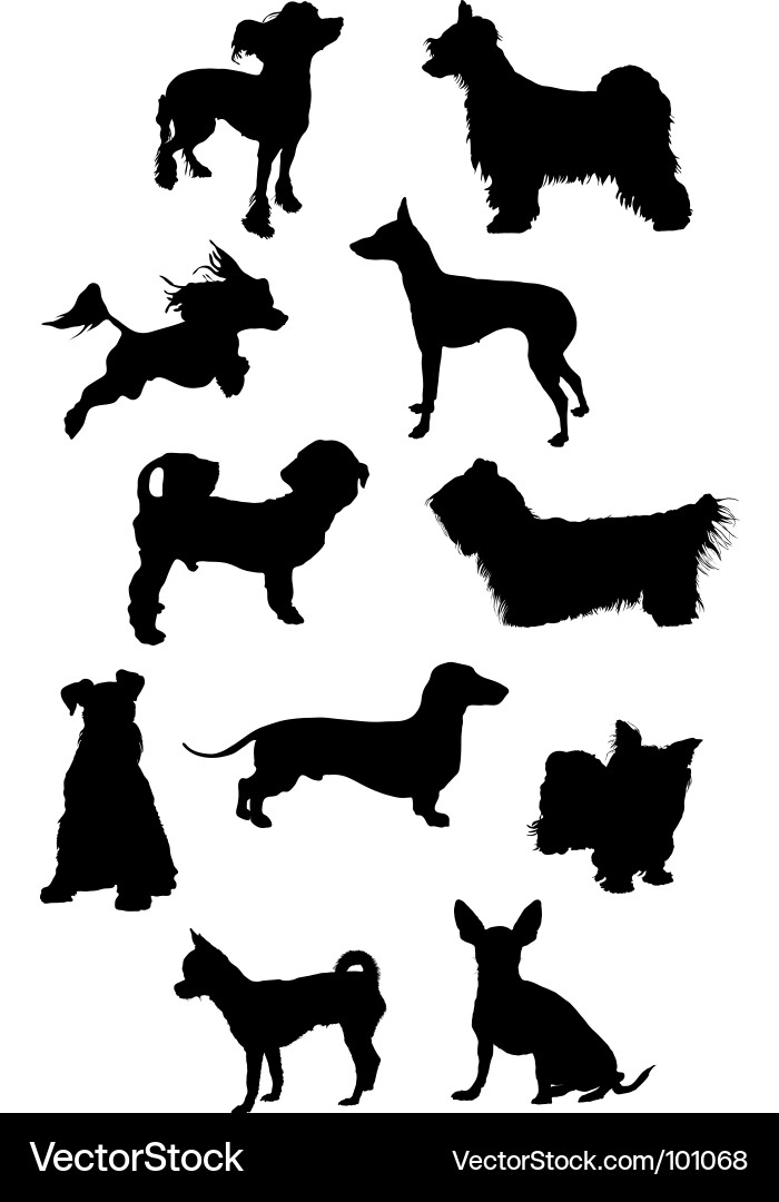 Dachshund Silhouette vector image