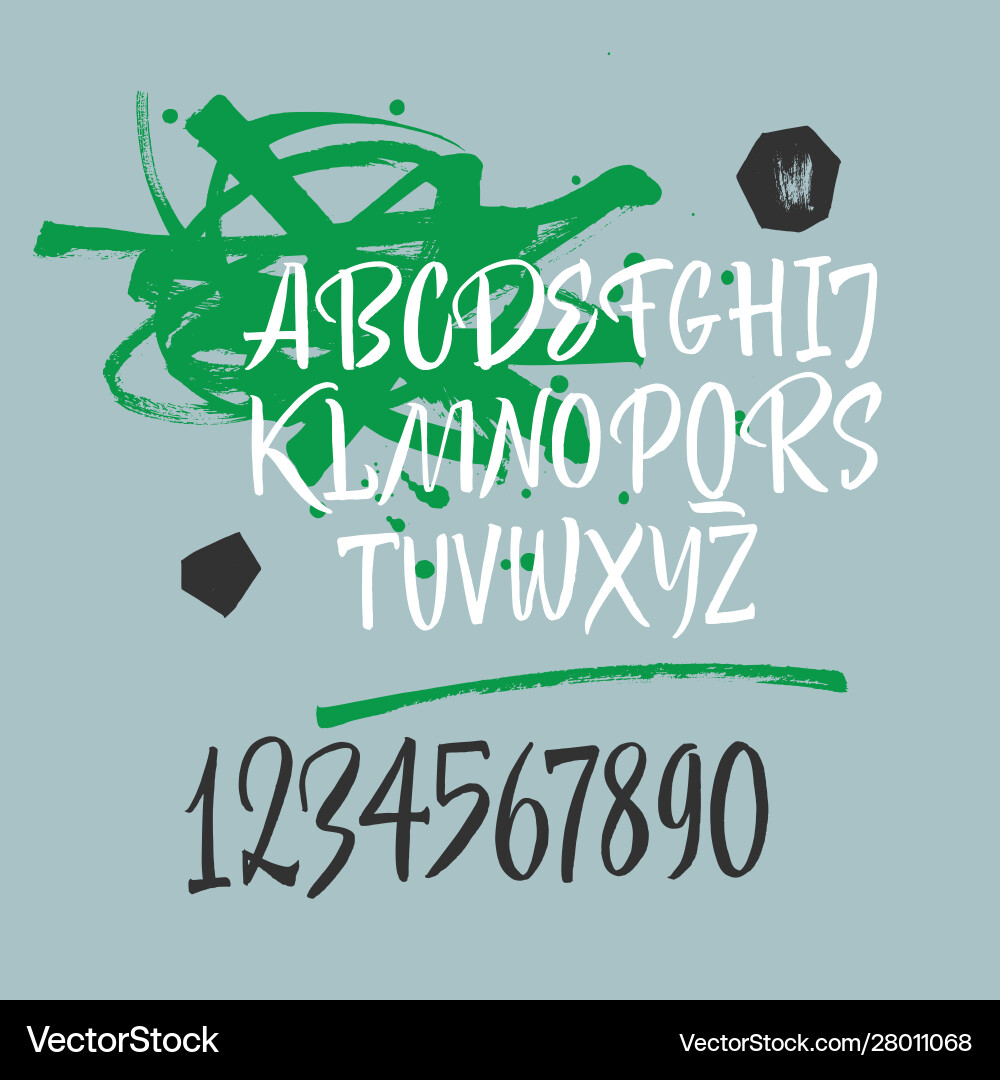 Handwritten font script latin calligraphic set vector image