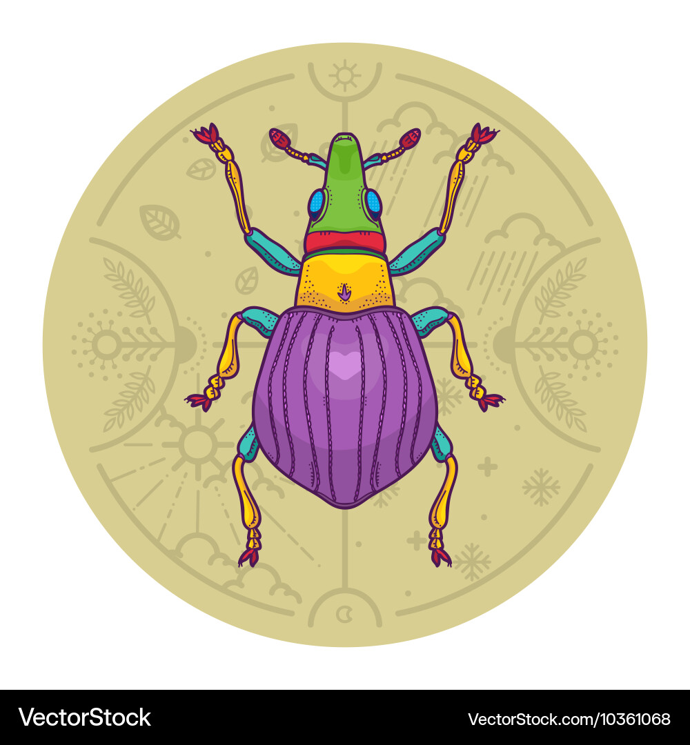 Insect beetle bug design elements line graphic vector image