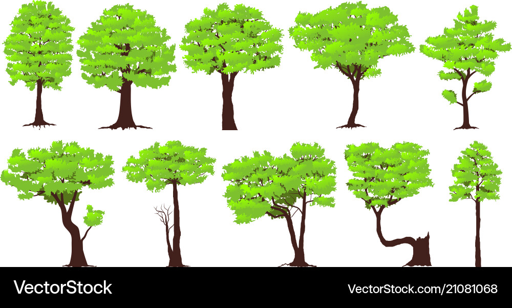 Set of trees vector image