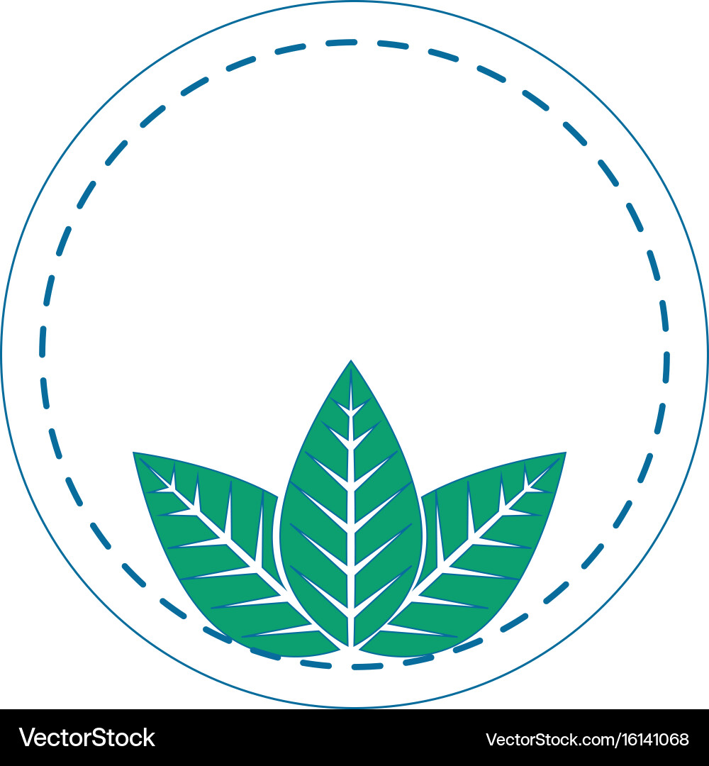 Sheets trees round icon vector image