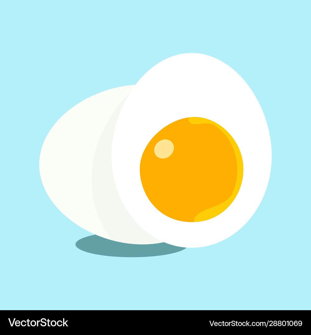 Egg in shell and half an with yolk boiled vector image