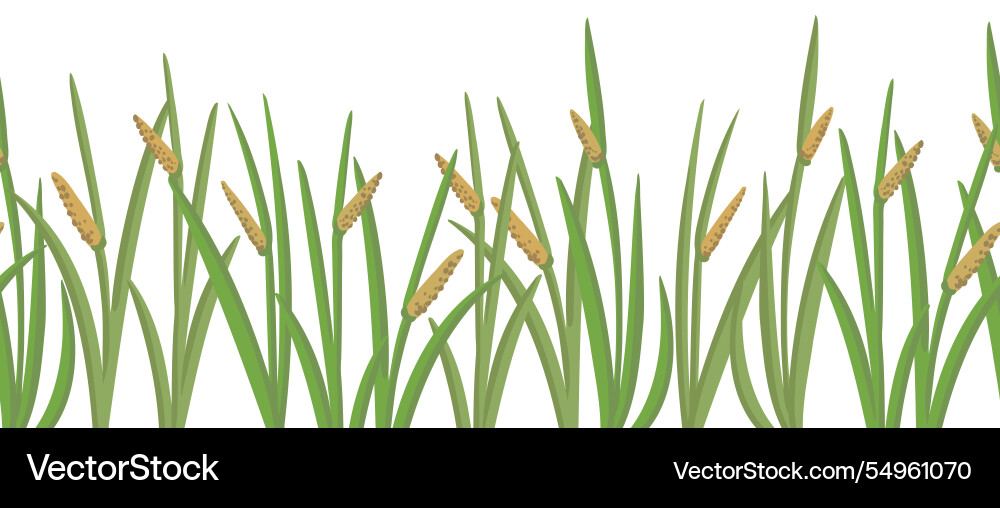 Seamless pattern with muskrat root Seamless pattern with muskrat root vector image