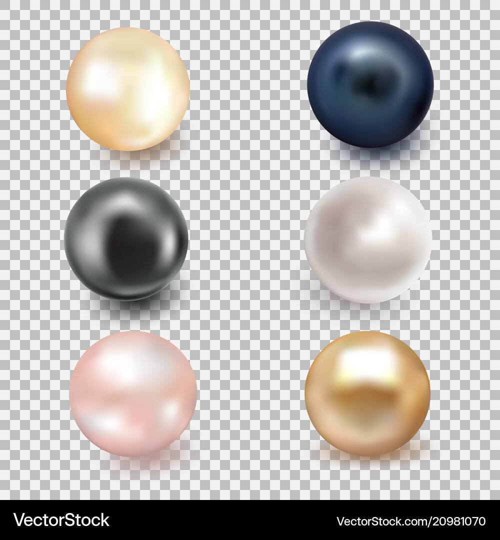 Set of beautiful shiny sea pearl Set of beautiful shiny sea pearl vector image