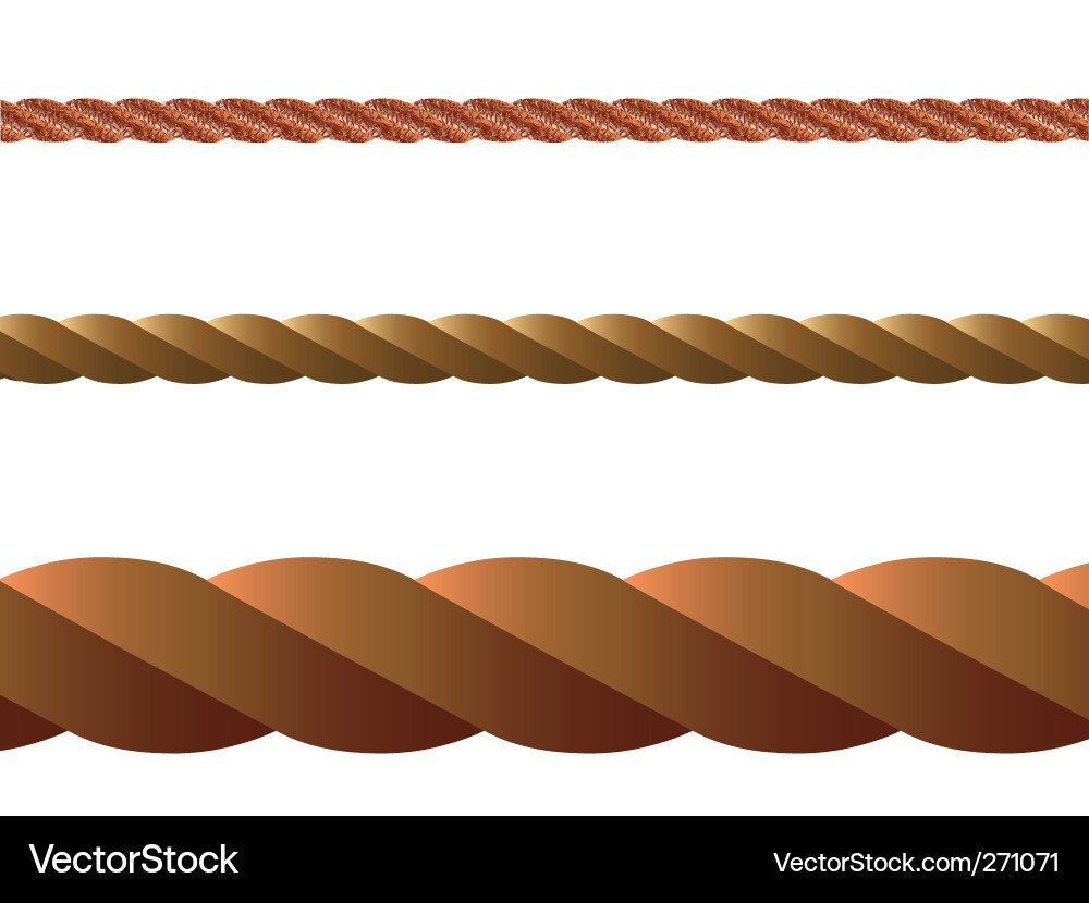 Braided Rope Icon Vektorbild
