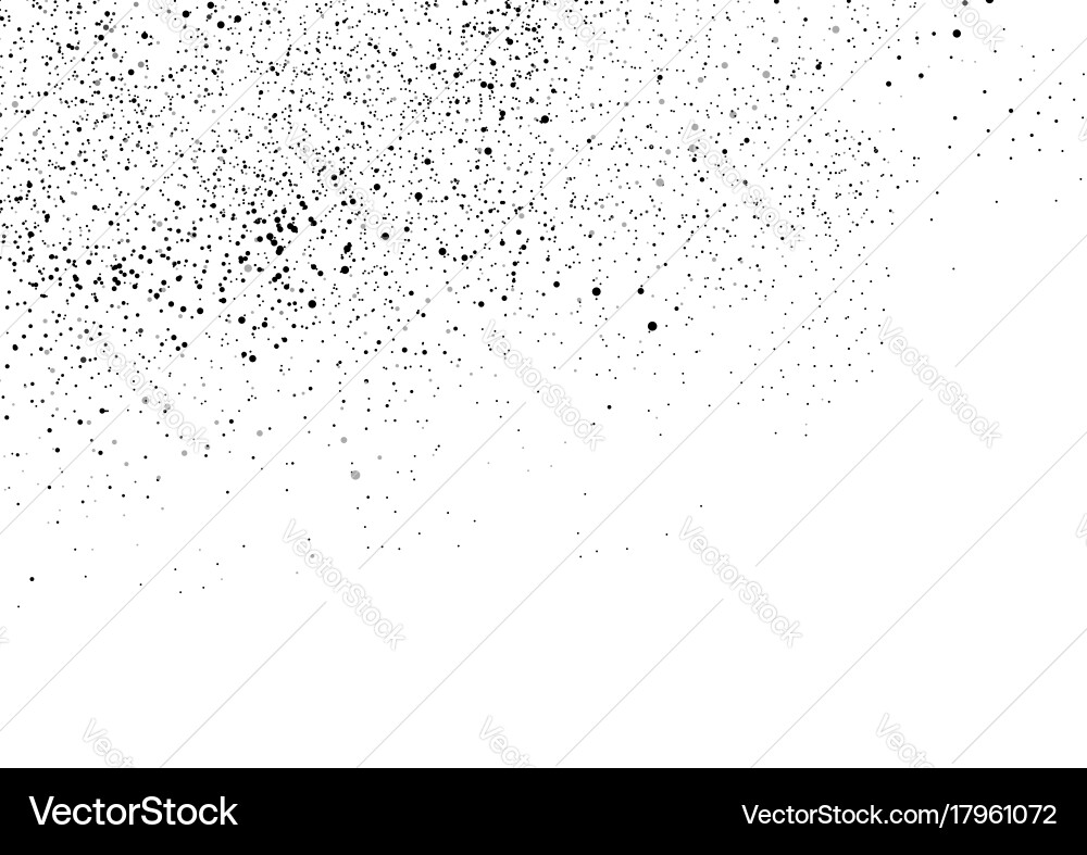Multiple random black particles over white vector image