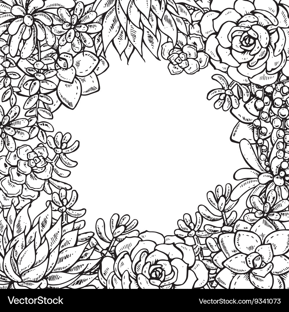 Hand Drawn Succulent Border – Royalty-Free Vector | VectorStock, image size:1000x1080