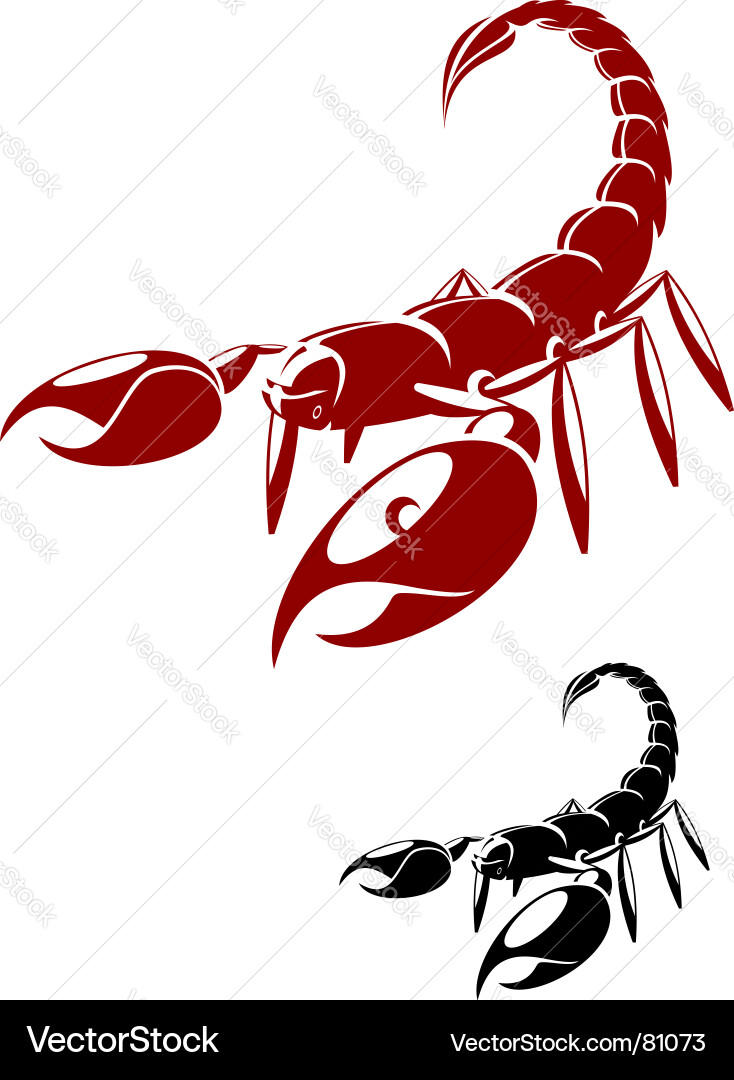 Isolated Scorpion - Danger Pose Vector Image