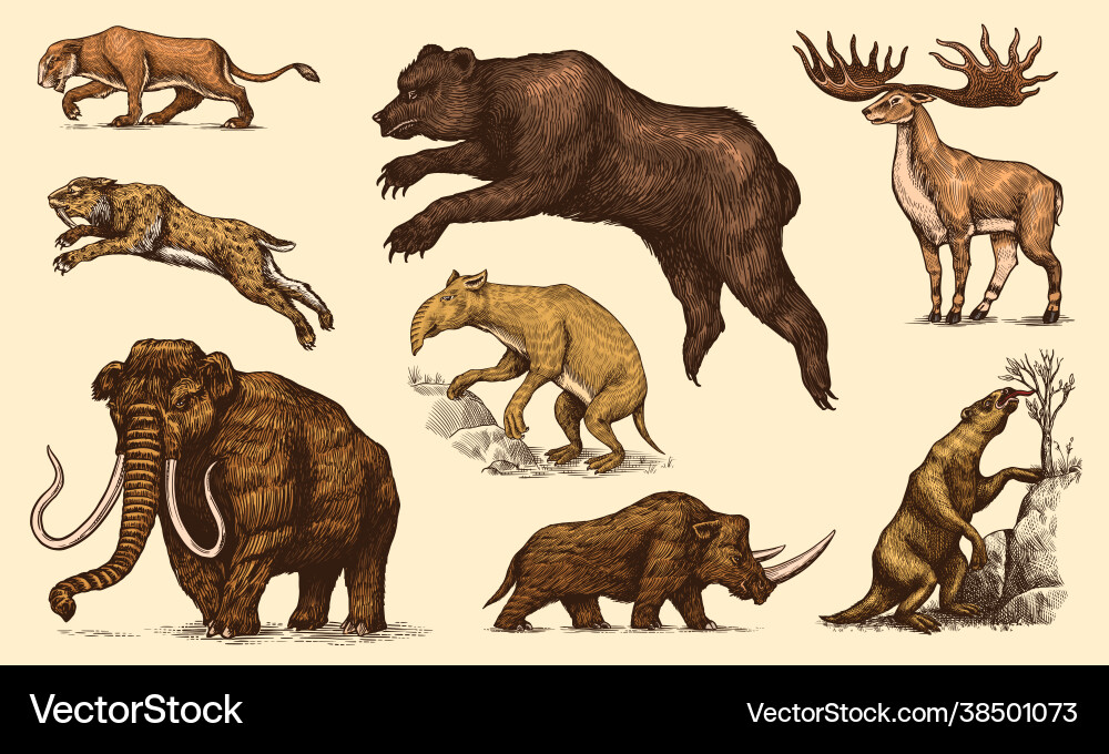 Mammoth or extinct elephant woolly rhinoceros Mammoth or extinct elephant woolly rhinoceros vector image