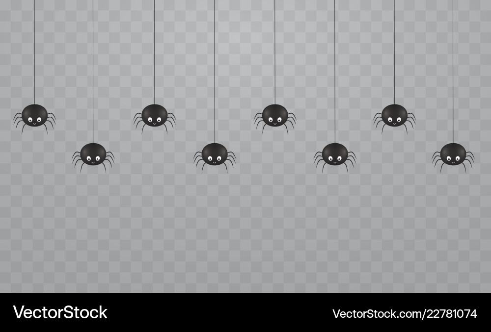 Black hanging cute spiders on a transparent Black hanging cute spiders on a transparent vector image