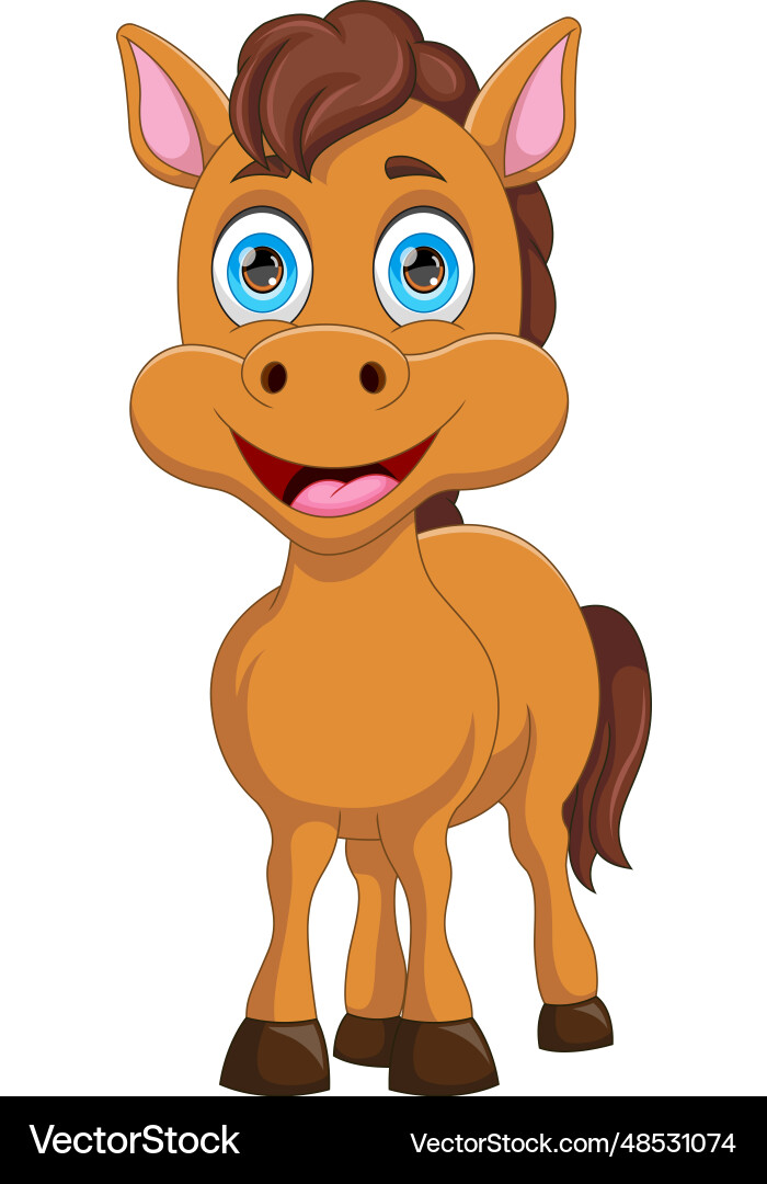 Cute baby horse cartoon vector image