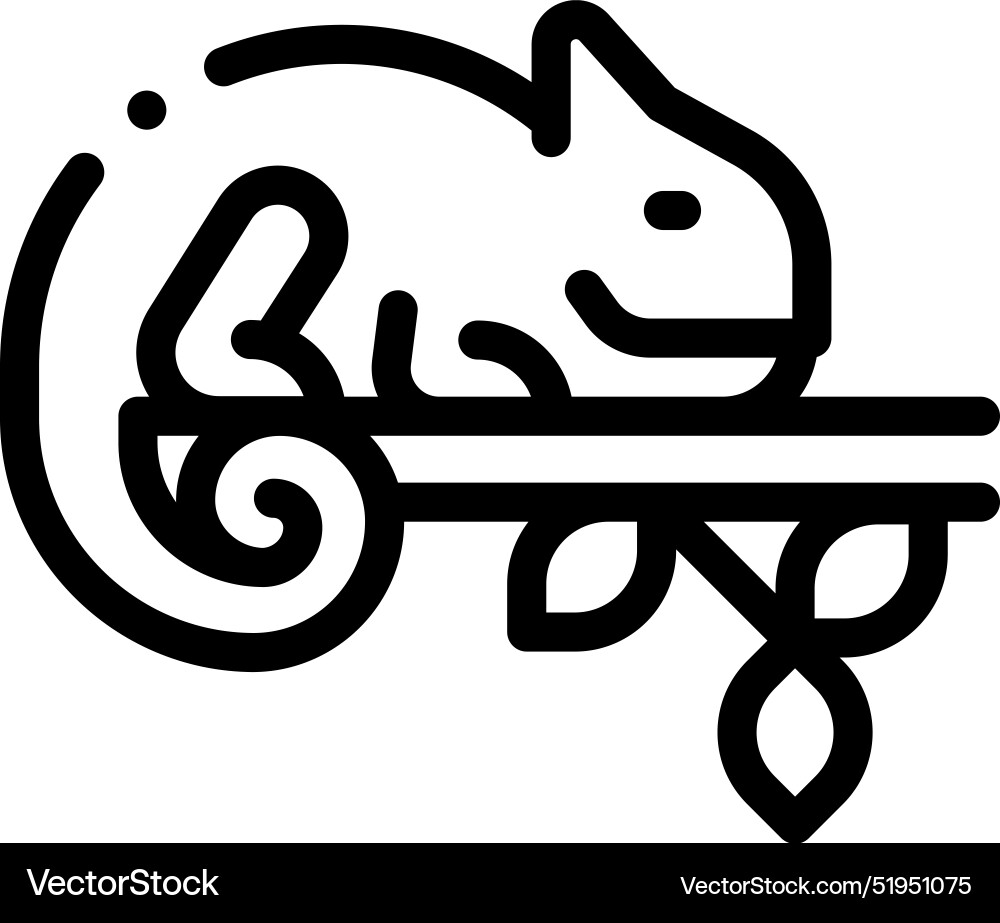Chameleon icon thin linear style design isolated Chameleon icon thin linear style design isolated Vector Image