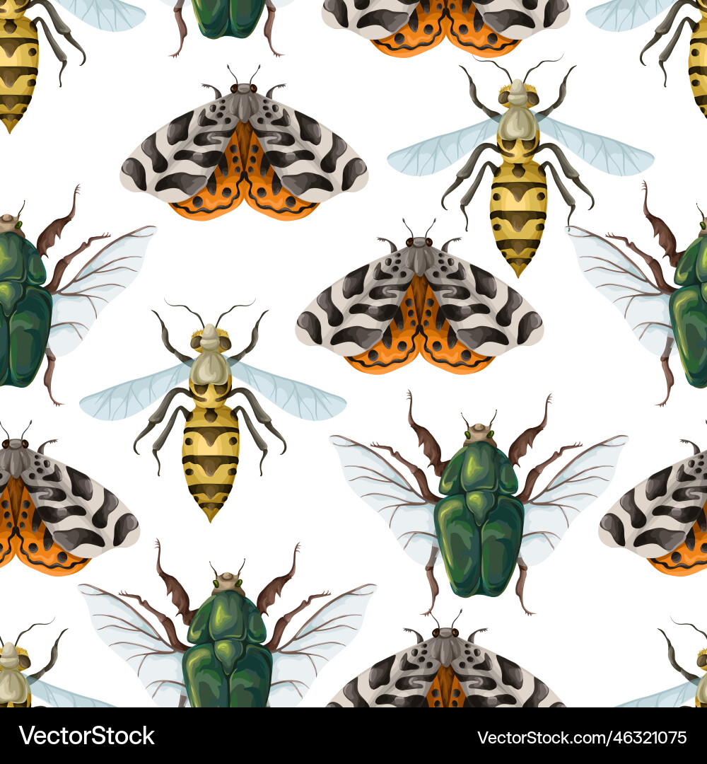 Colorful Insect Pattern Vector Image