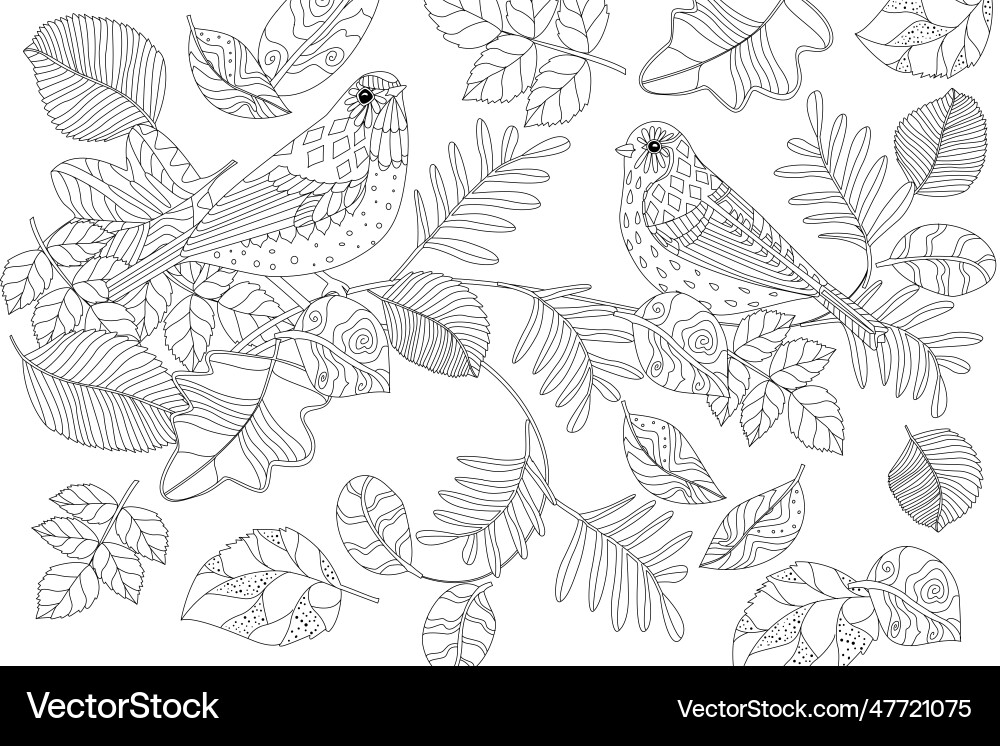 Lovely couple of birds sitting on branch Vector Image