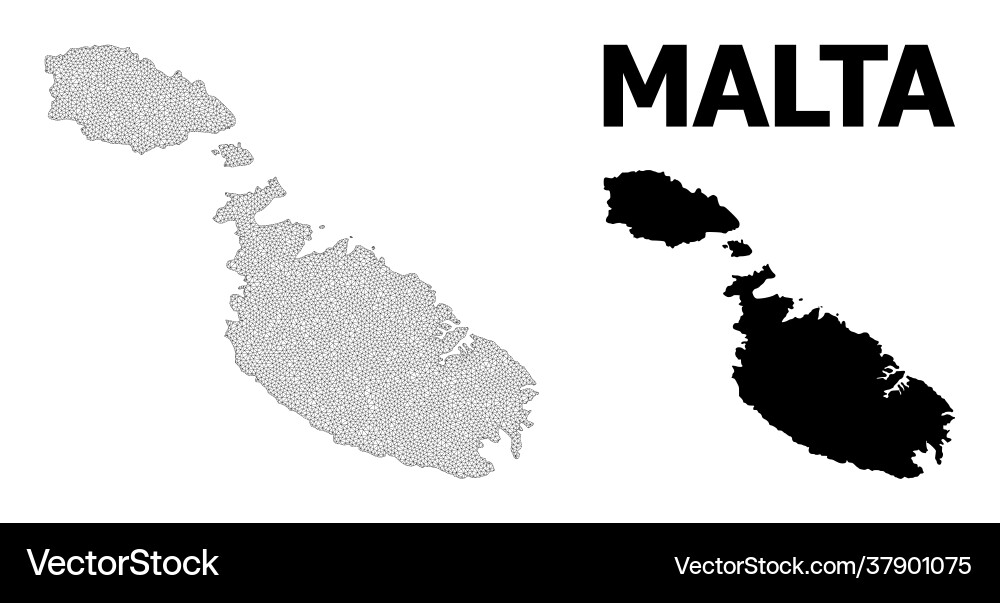 Polygonal network mesh high resolution map Vector Image