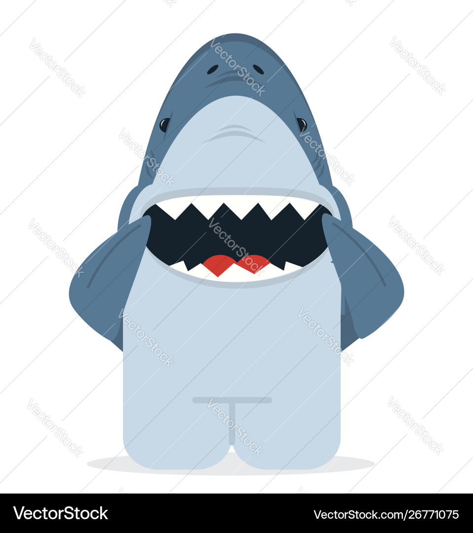 Shark with open jaws smile vector image