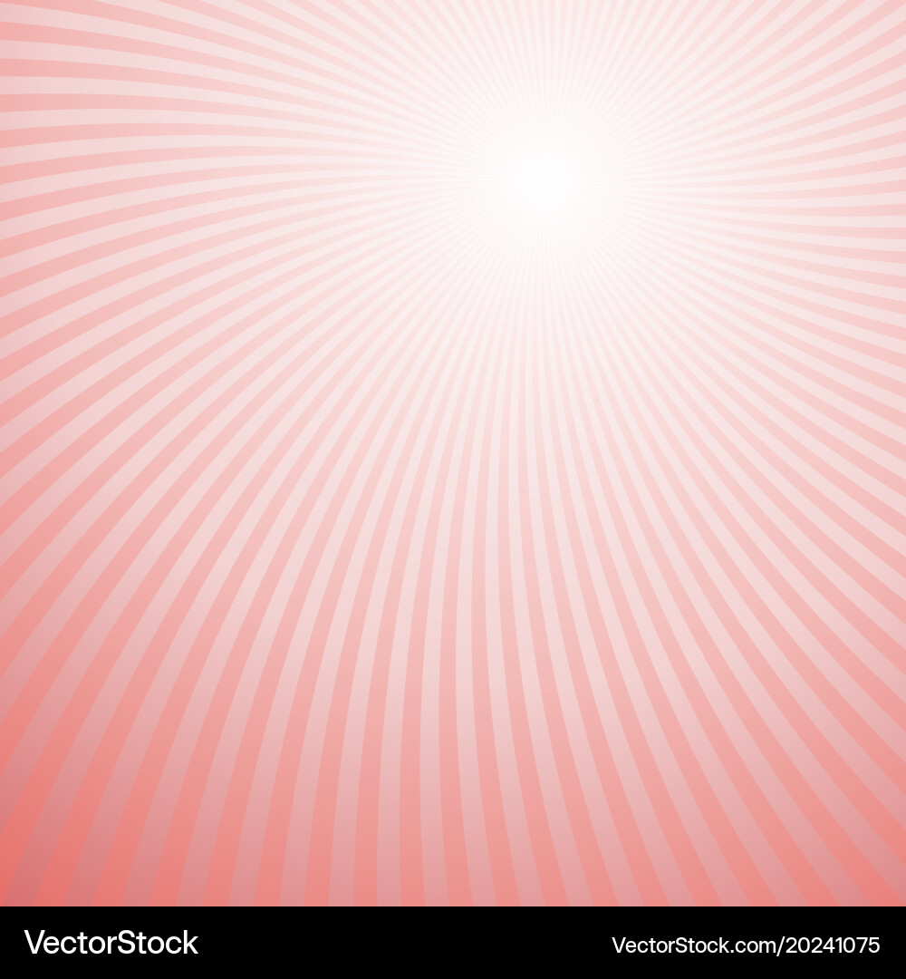 Swirl background from rotated rays vector image