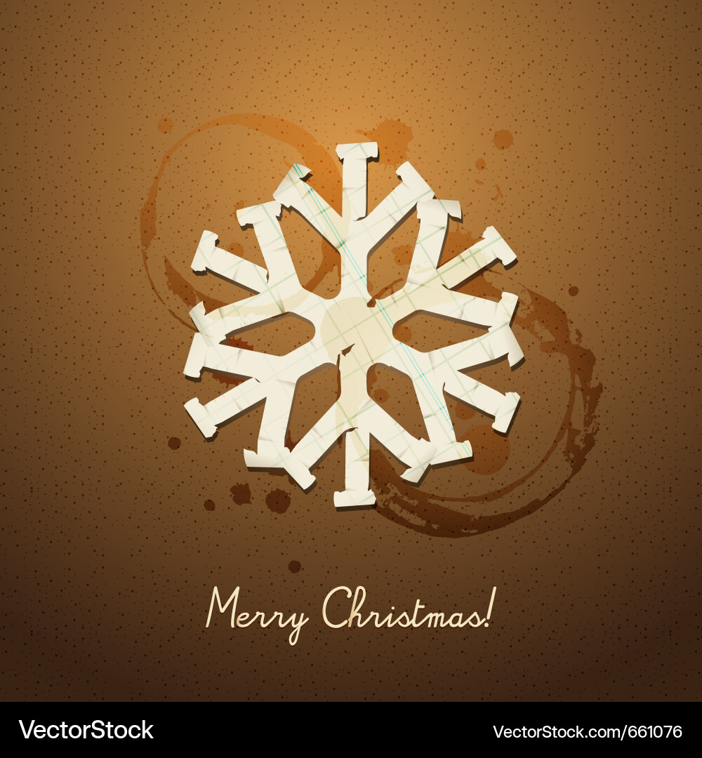 Paper snowflake Vector Image