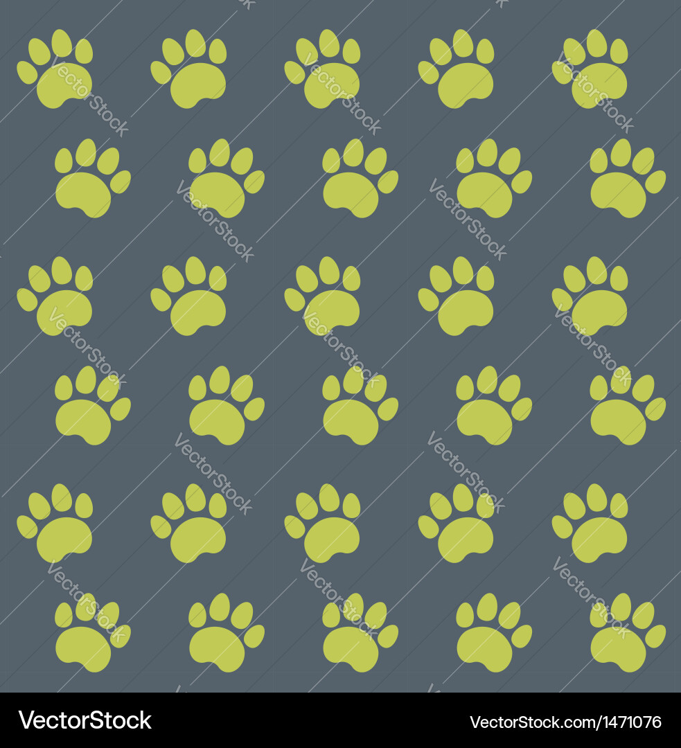 Traces of cat textile pattern vector image