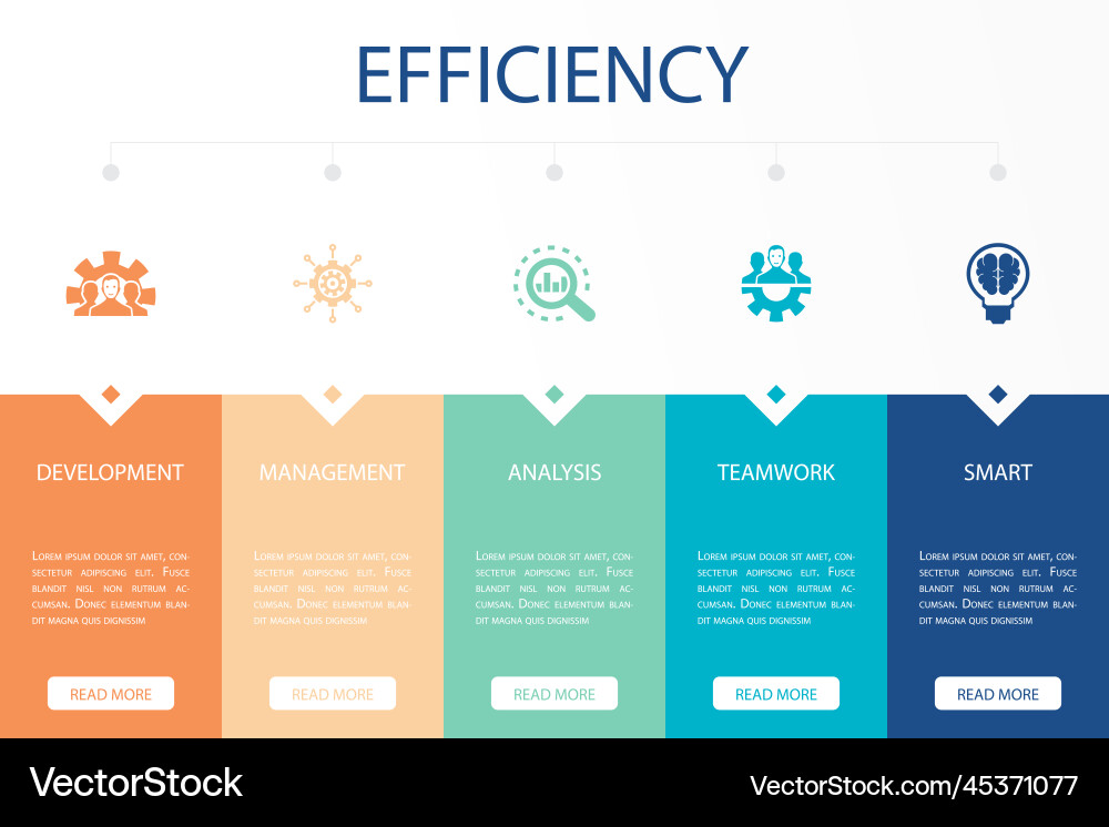Development management analysis teamwork smart vector image
