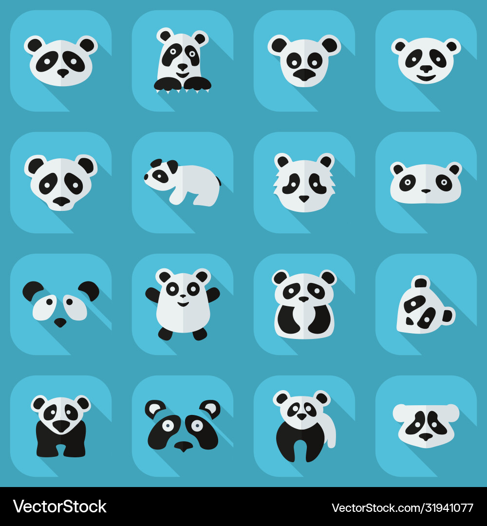 Flat concept set modern design with shadow pandas Flat concept set modern design with shadow pandas Vector Image